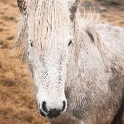 Framed Heida IV Print