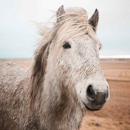 Framed Heida III Print