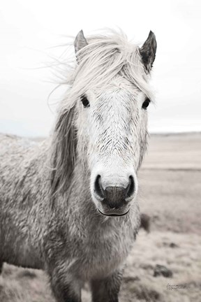 Framed Heida I BW Print