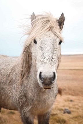 Framed Heida I Print
