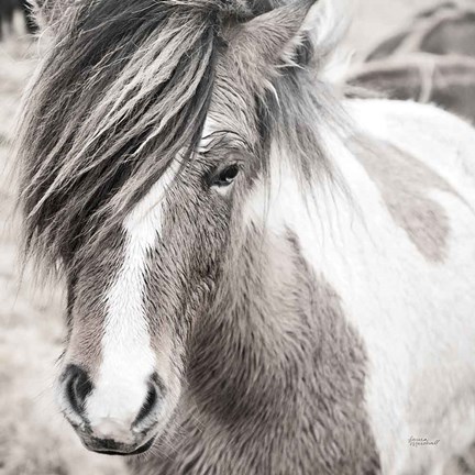 Framed Elska IV BW Print