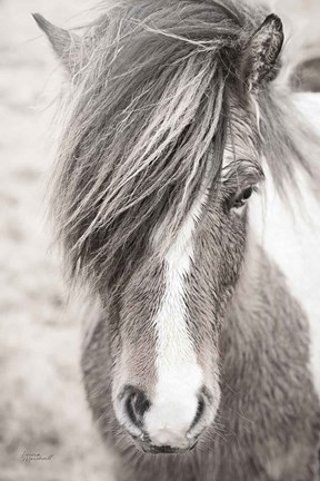 Framed Elska II BW Print