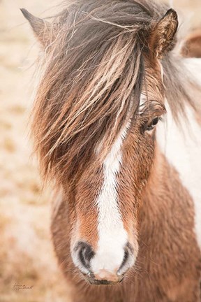 Framed Elska II Print