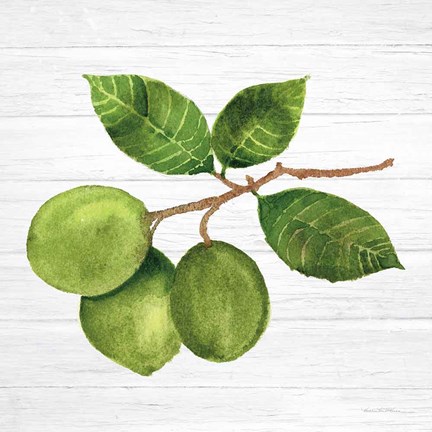 Framed Citrus Garden II Shiplap Print