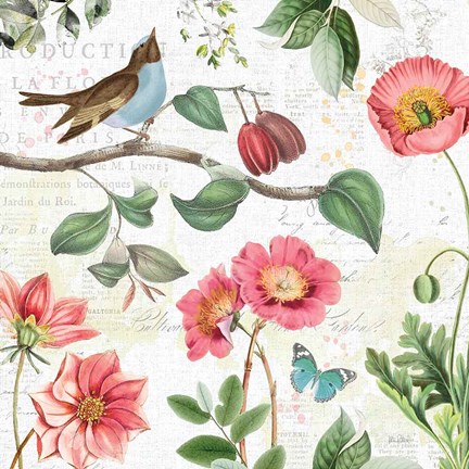 Framed Studio Botanicals II Print