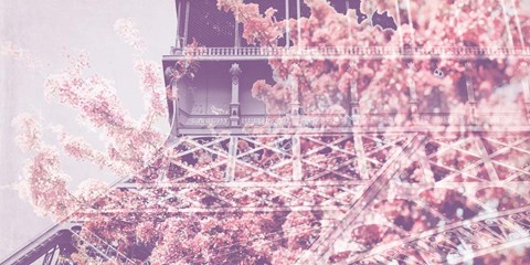 Framed Eiffel Blossoms Print