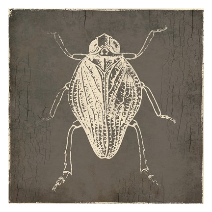 Framed Bug Life One Print