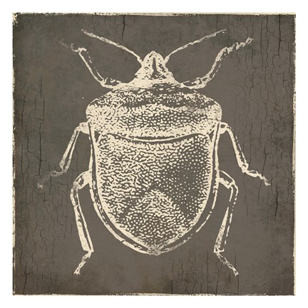 Framed Bug Life Two Print