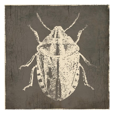 Framed Bug Life Four Print