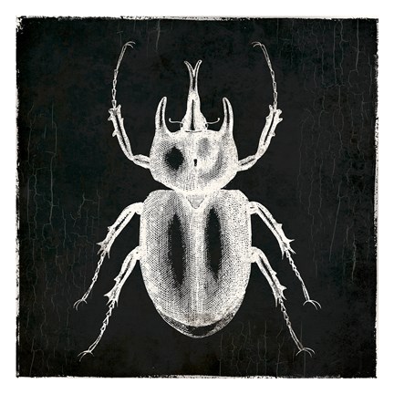 Framed Bug Life Two Black Print