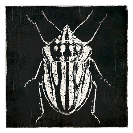 Framed Bug Life Three Black Print