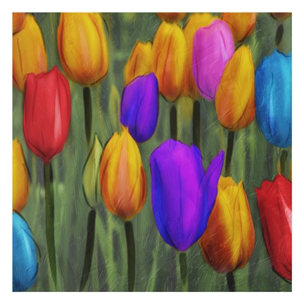 Framed Tulips Patch Print