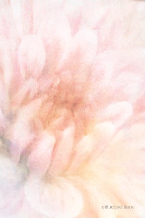 Framed Soft Dahlia Pastel Peach Print