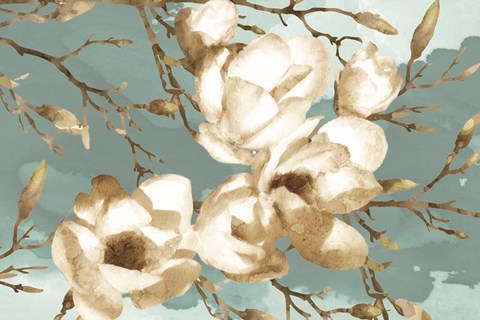 Framed Magnolia I Print