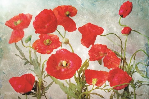 Framed Poppies Print
