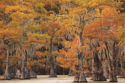 Framed Autumn&#39;s Painting Print