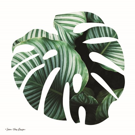 Framed Leaves Leaf Print