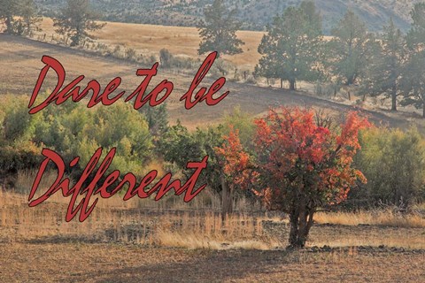 Framed Dare to be Different Print