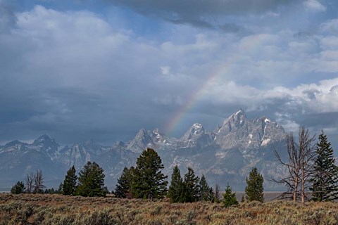 Framed Teton Rainbow Print