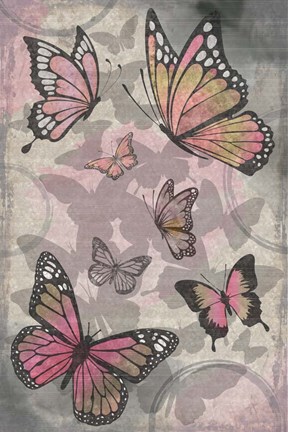 Framed Butterflies III Print