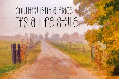 Framed Country Style Print