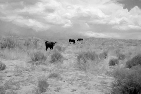 Framed Grazin on Grass Print