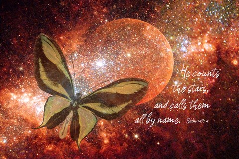 Framed He Counts the Stars Print