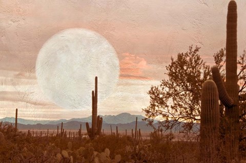 Framed Desert Twilight Print