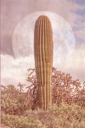 Framed One Alone Print