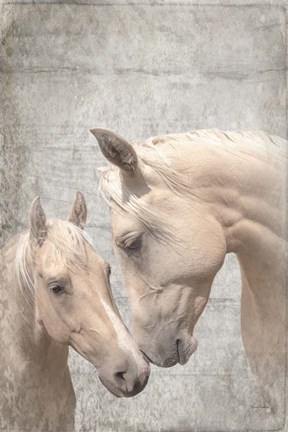 Framed Us Textured Print