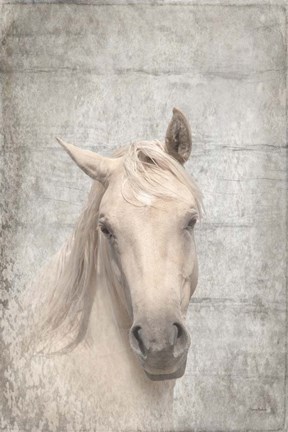 Framed Her Textured Print