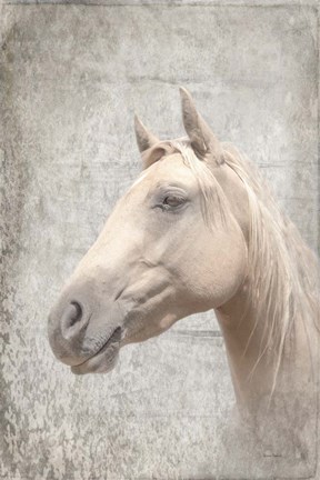 Framed Him Textured Print