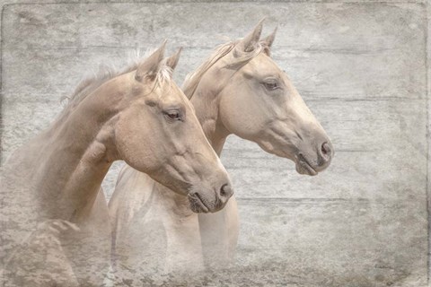 Framed Looking Forward Textured Print