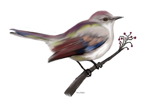 Framed Bird II Print