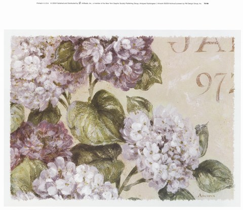 Framed Antiqued Hydrangeas I Print