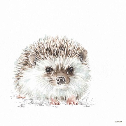 Framed Forest Friends VII Print