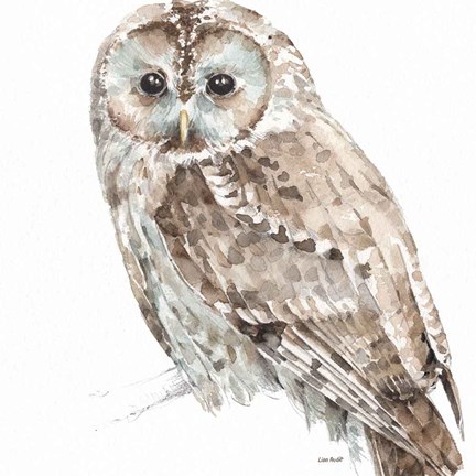 Framed Forest Friends III Print