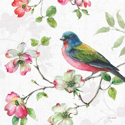 Framed Dogwood Garden III Print