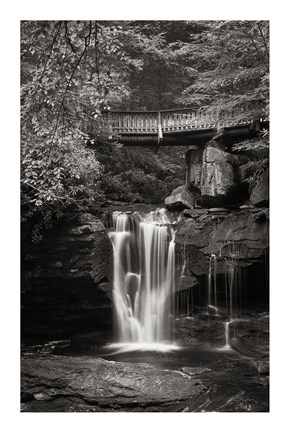 Framed Elakala Falls West II BW Print