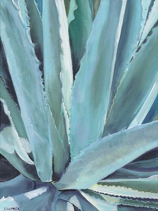 Framed Blue Agave Print