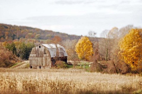 Framed Barn &amp; Beehives Print