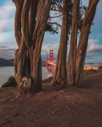 Framed Between the Trees Print