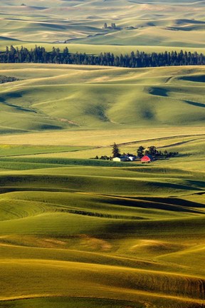 Framed Palouse #27 Print