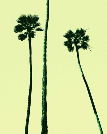 Framed Palm Trees 2000 (Cyan) Print