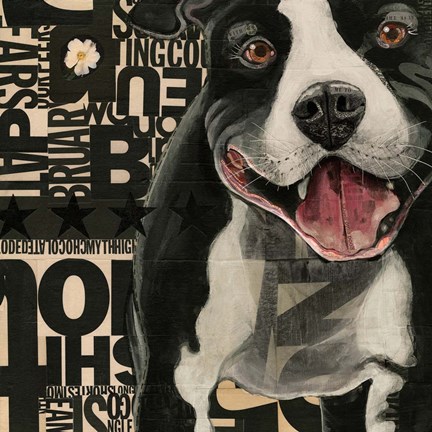 Framed Pit Pat Print