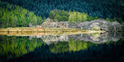 Framed Spring Greens Print