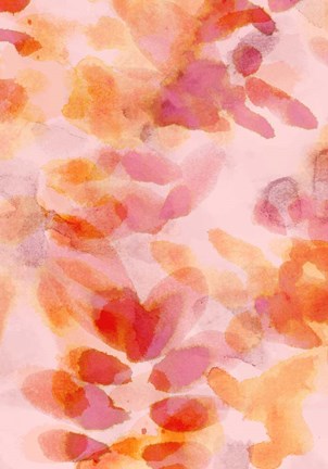 Framed Bloom Rose Print