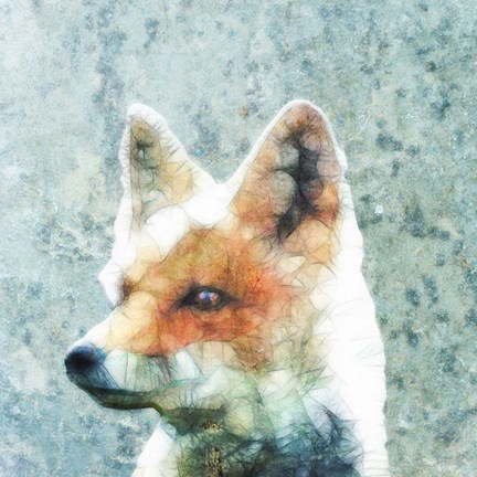 Framed Abstract Fox Print