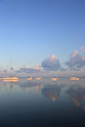 Framed Sunrise Sails Print