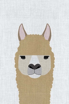 Framed Alpaca Print